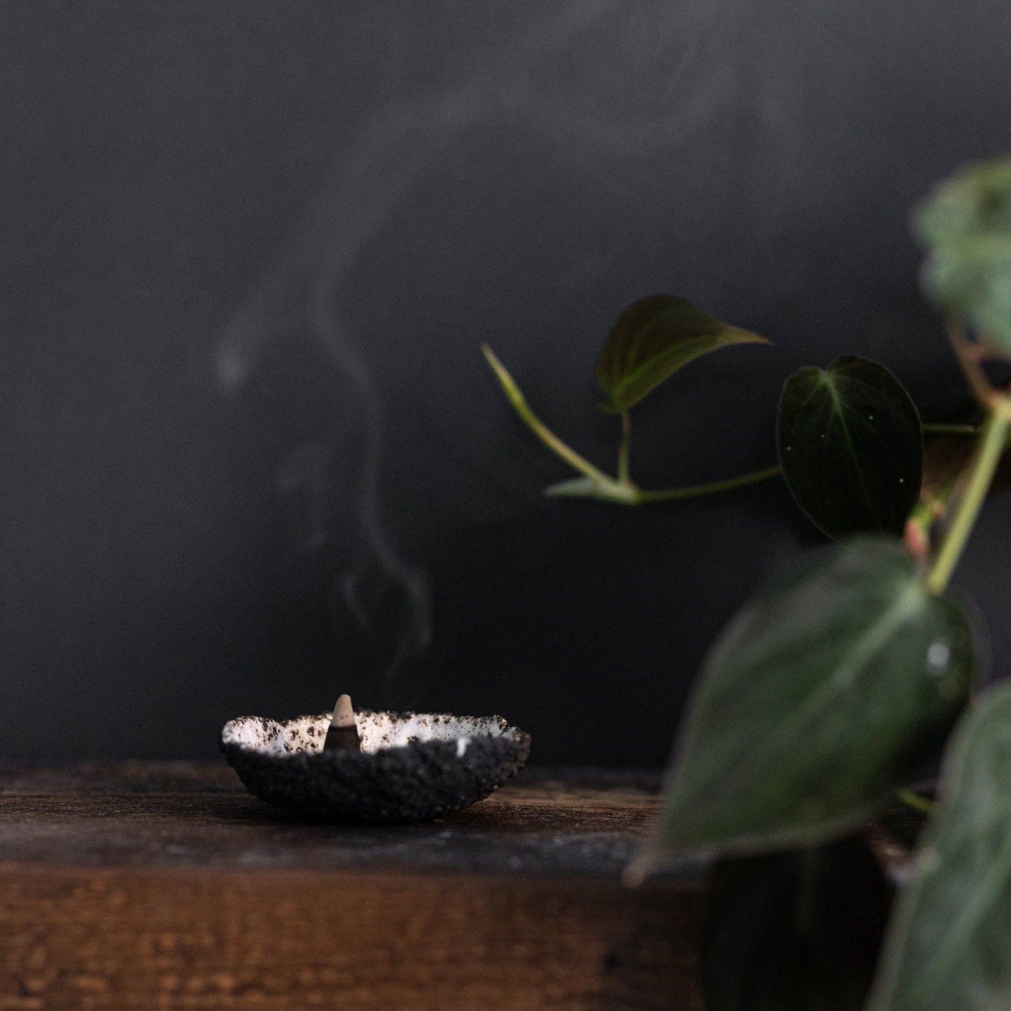 Harvest incense cone burning on dark textured ceramic dish beside plant