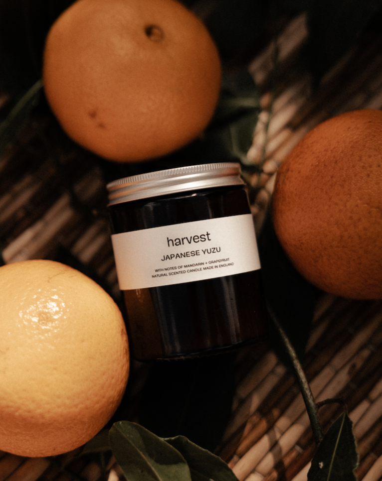 Harvest Japanese Yuzu candle in amber jar surrounded by citrus fruits