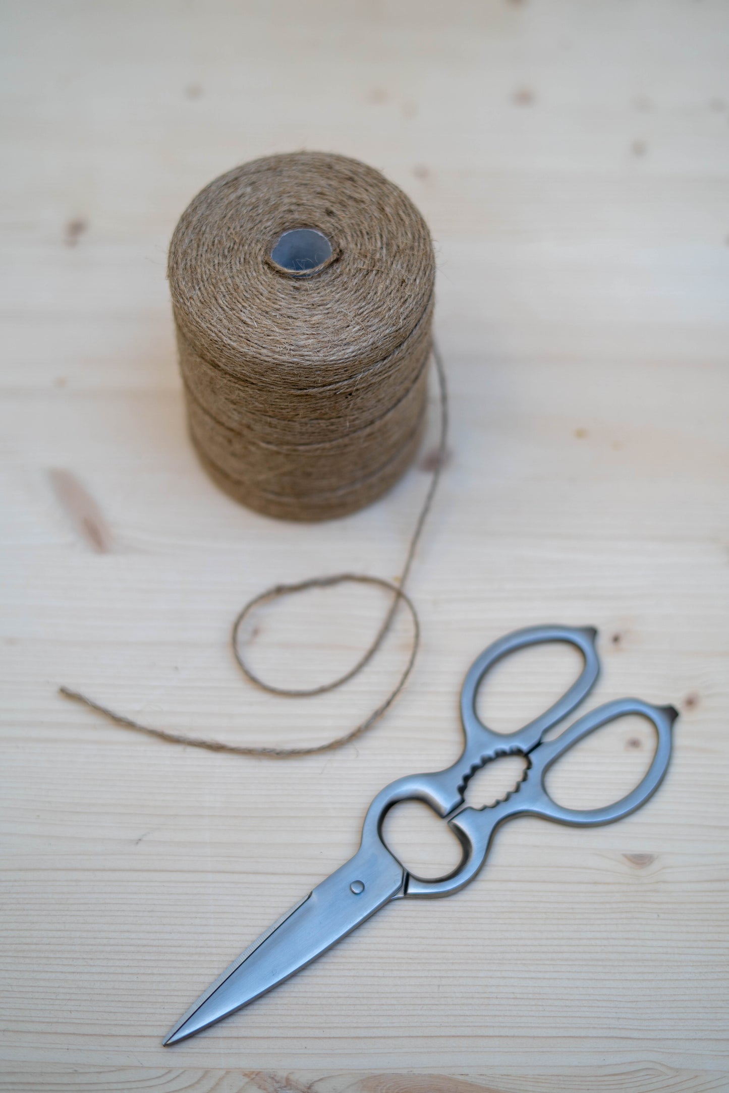 Classic Kitchen Scissors