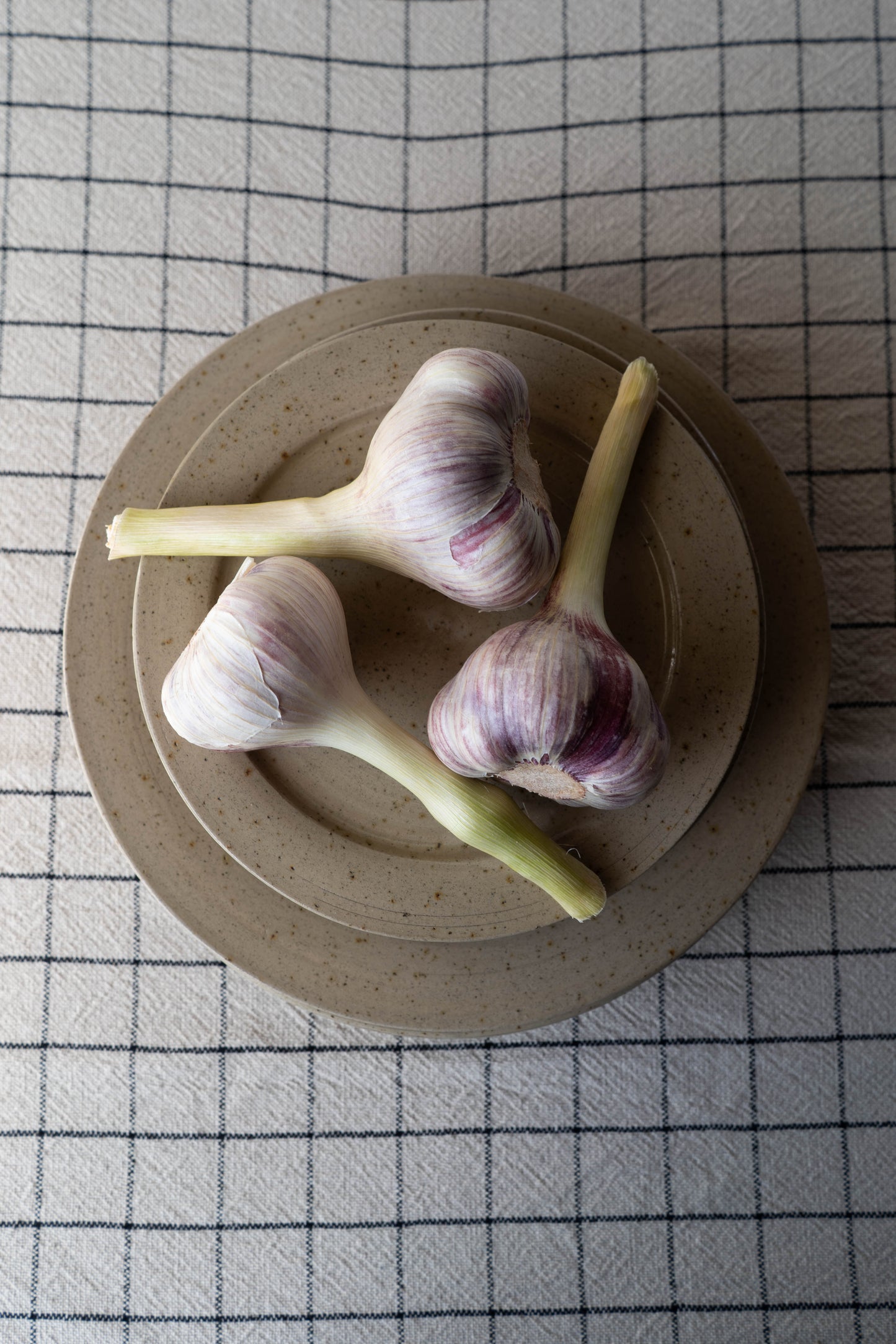 Stoneware Plate