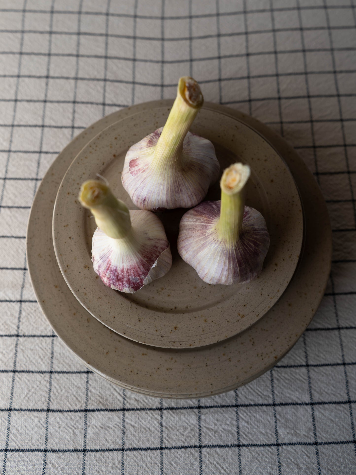 Stoneware Plate