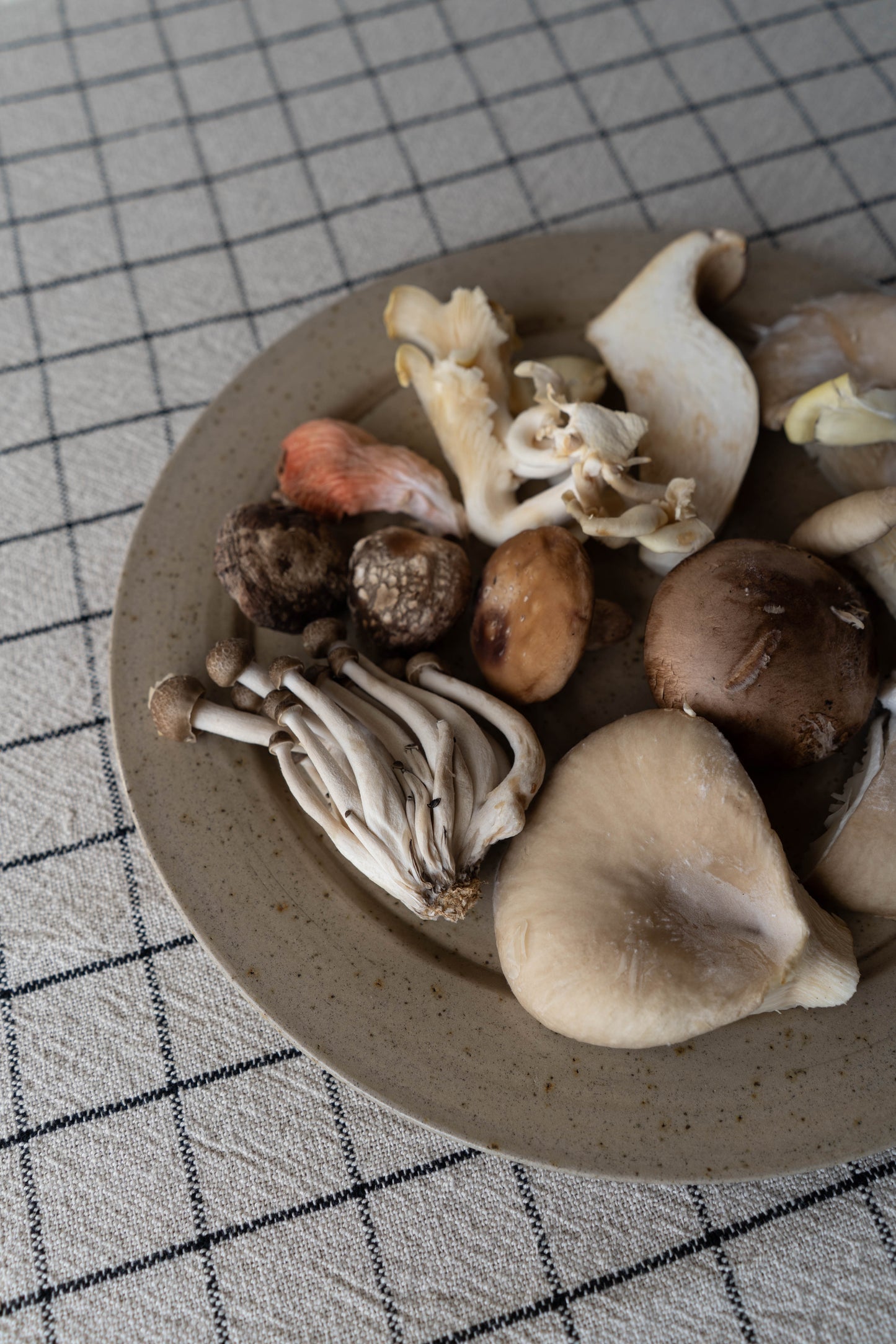 Stoneware Plate