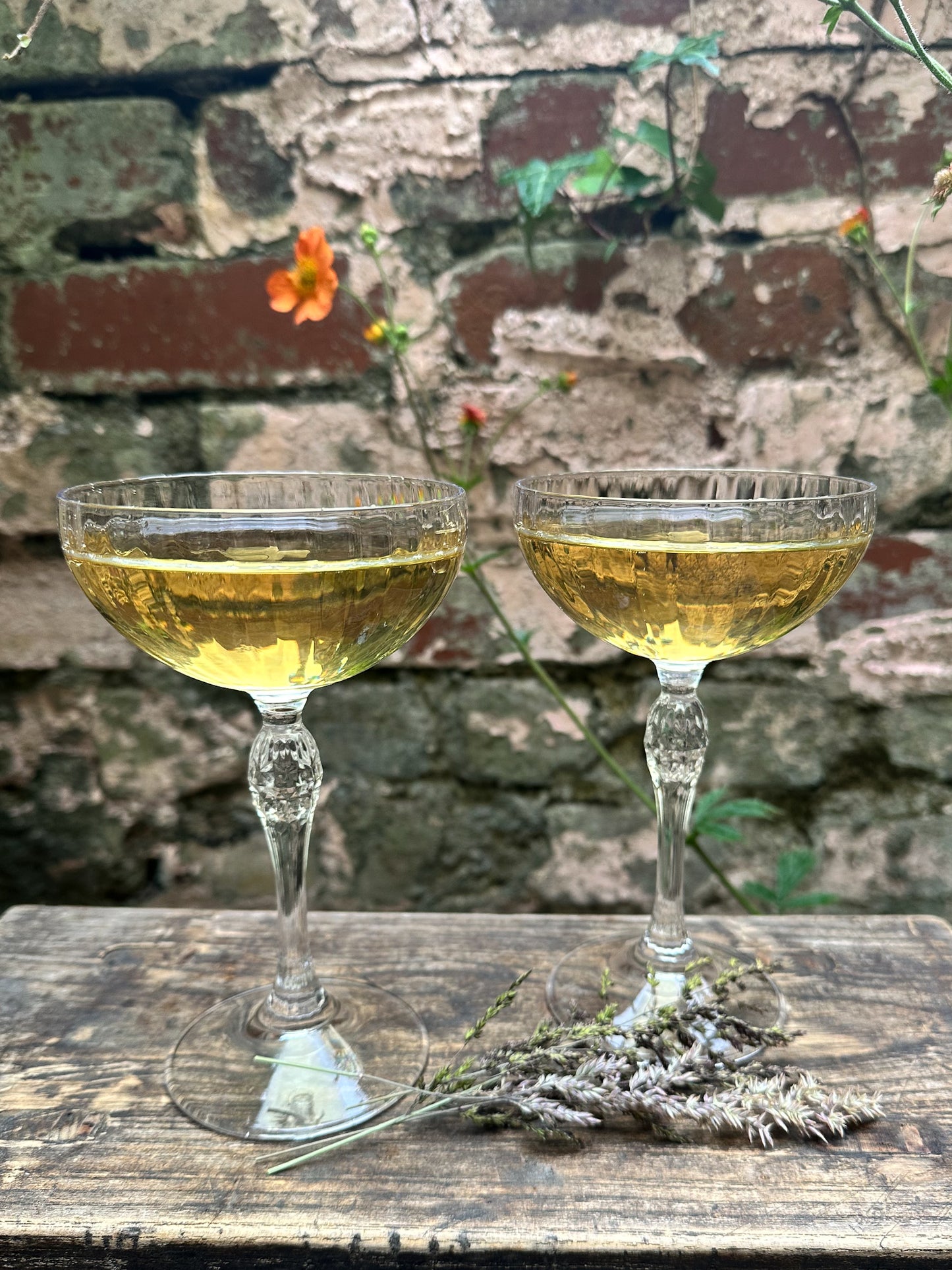 Fluted Champagne Coupe