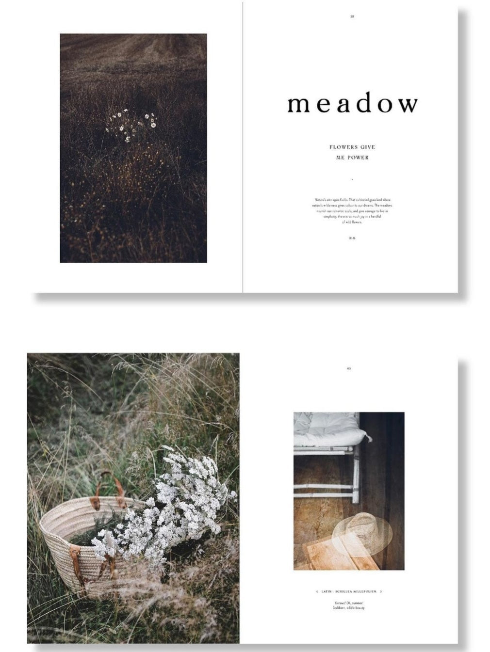 live d | Hilde Mork