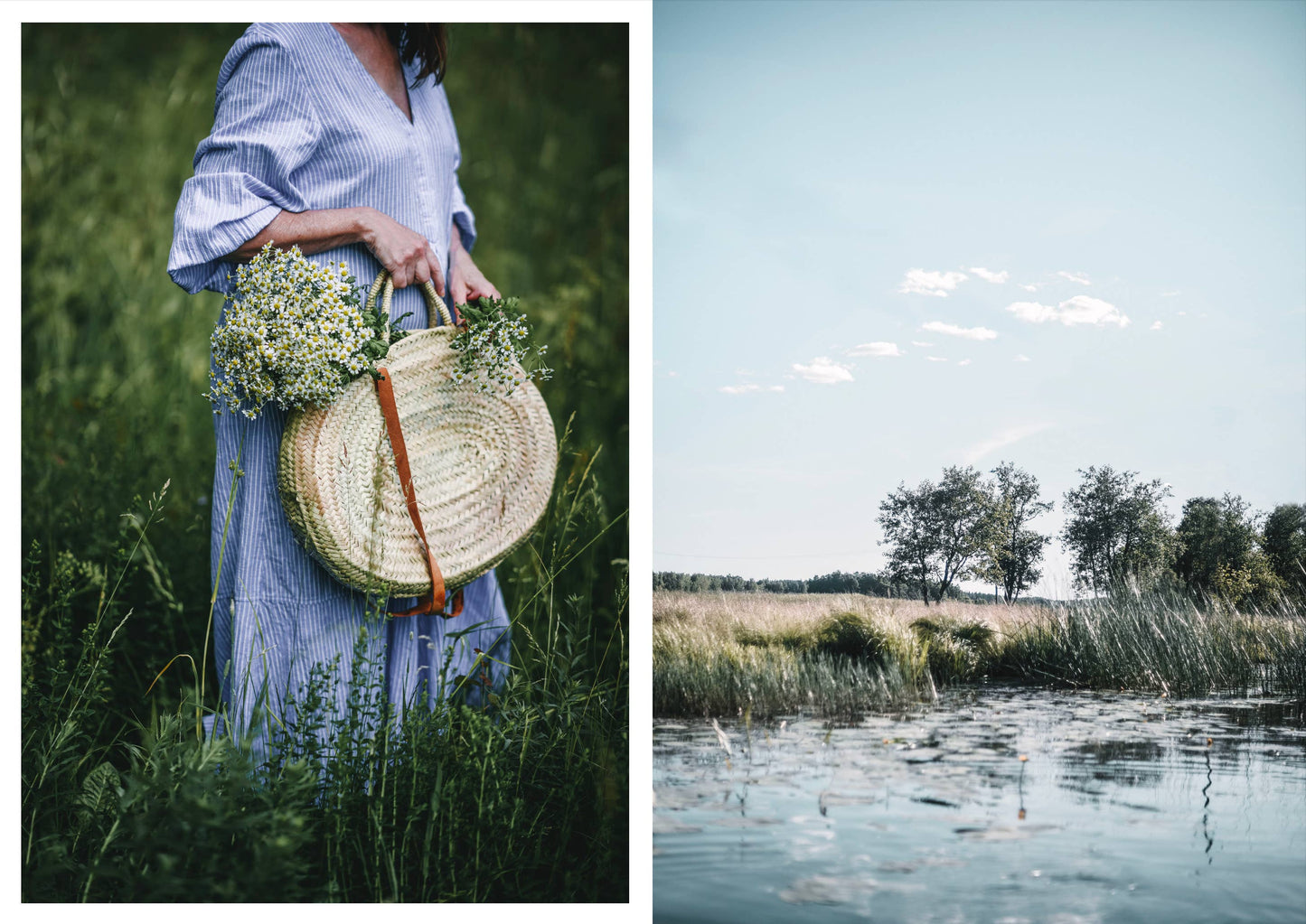 Nordic Summer Cookbook
