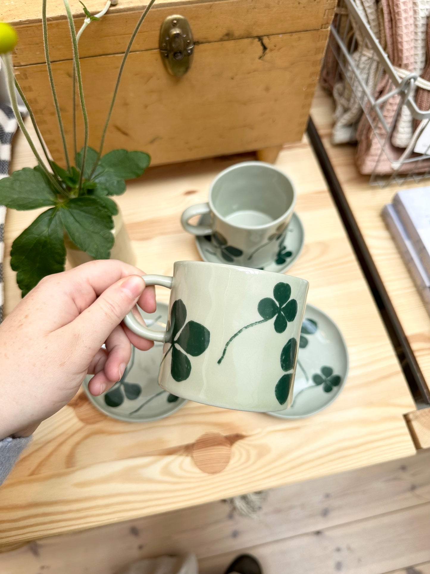 Person holding up a clover mug infront of a gathering of porcelain clover cups and lates next to a wooden box and plant.