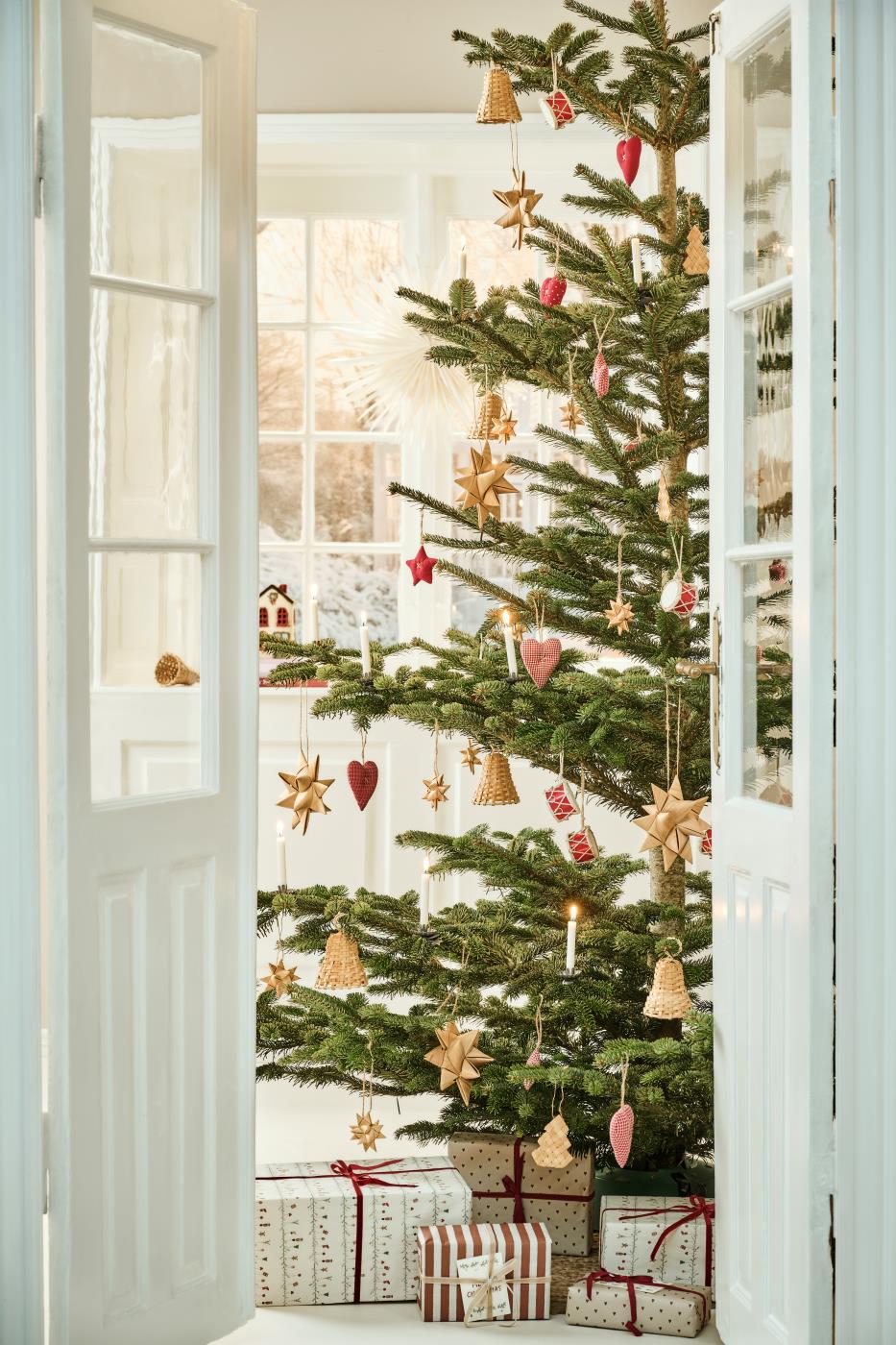 Froebel Pine Star