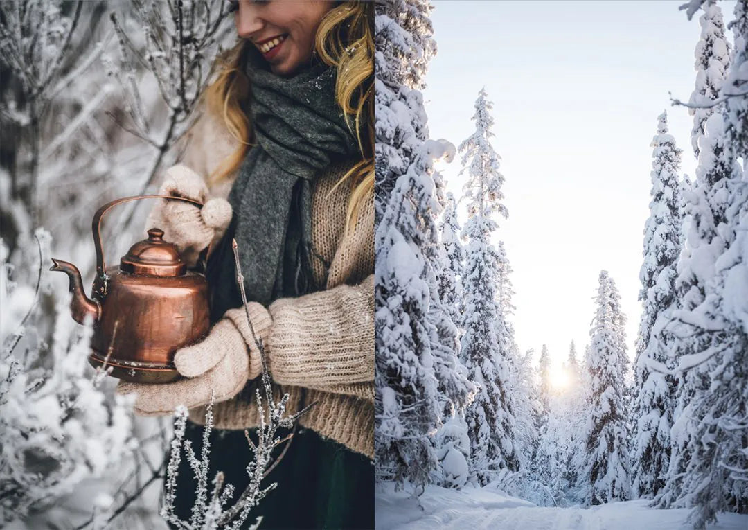 Nordic Winter
