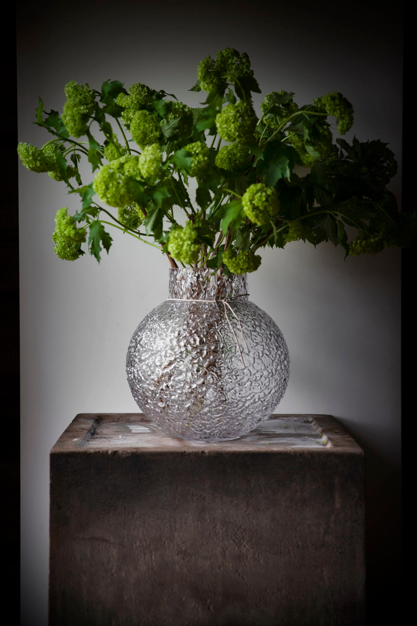 Mönstrad Glass Vase