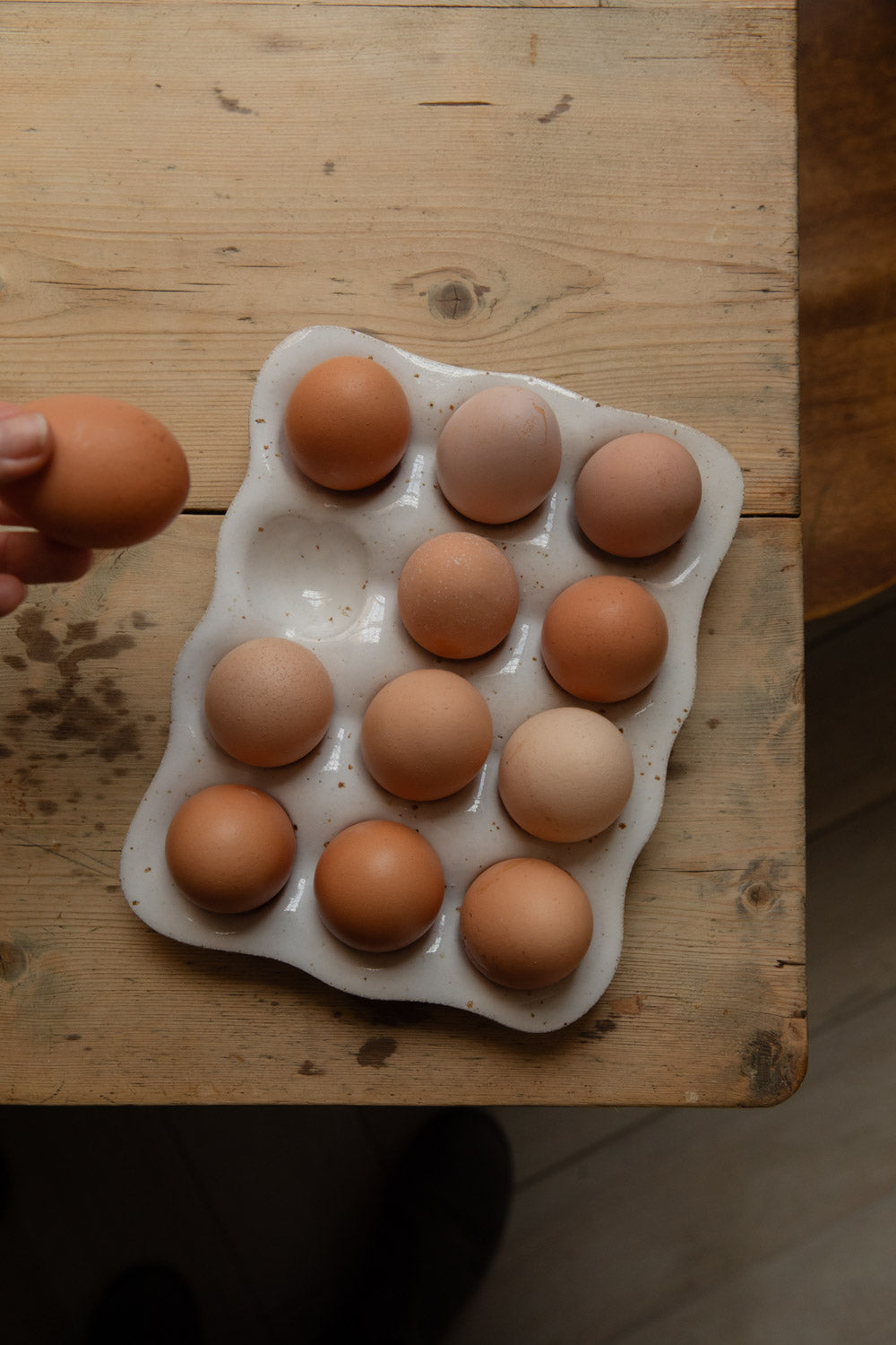 Hand placing a brown egg into a natural speckle stoneware egg tray