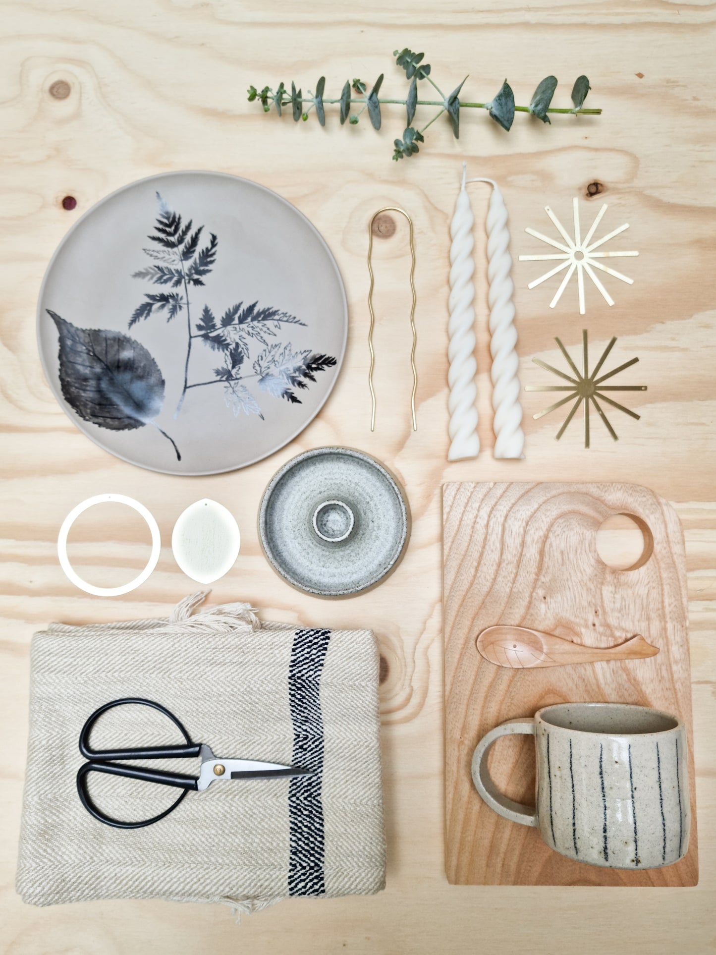 Scissors / Shears