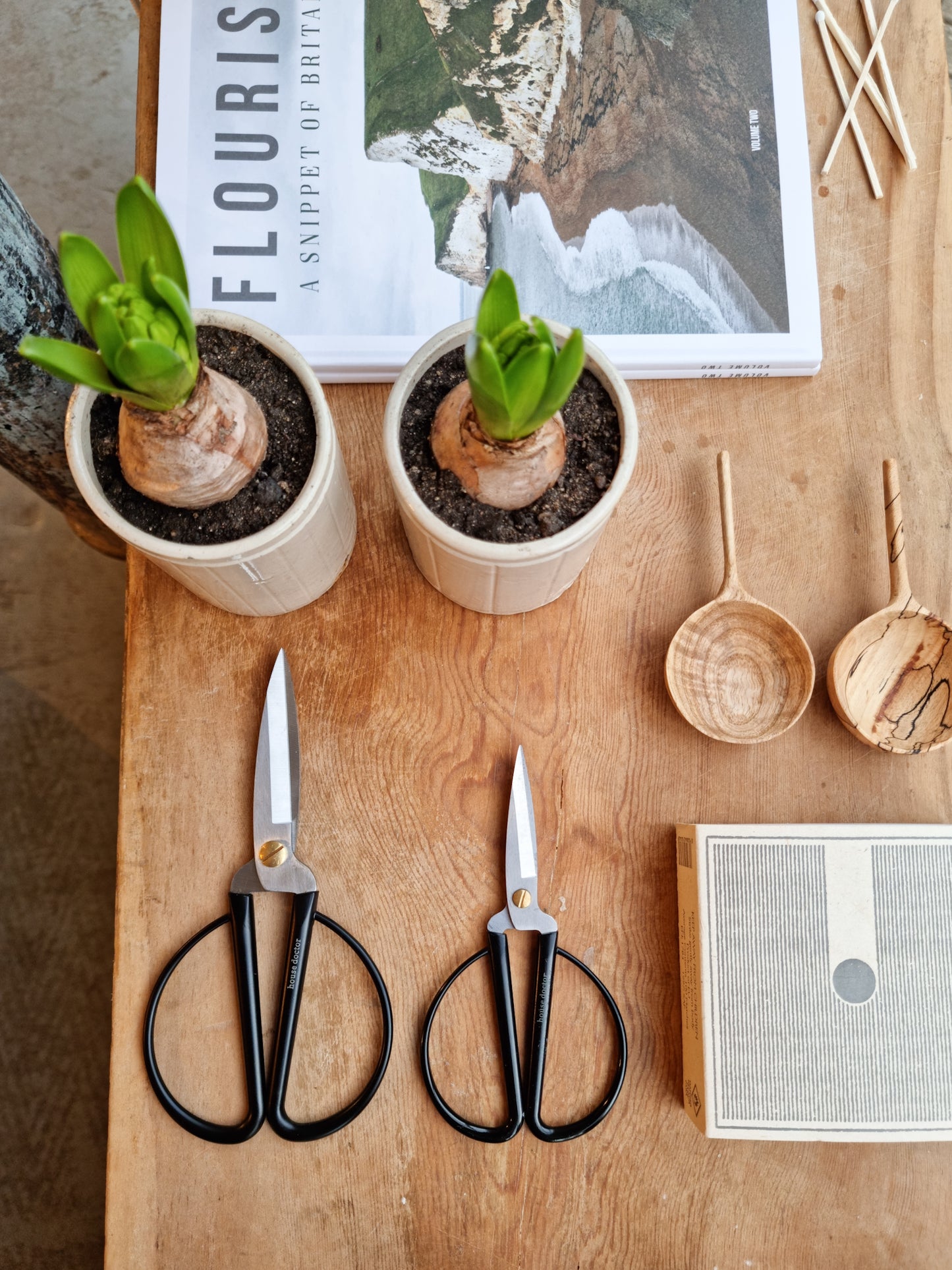 Scissors / Shears