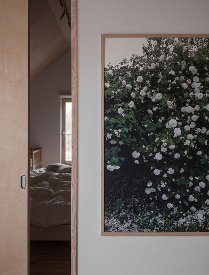 White Roses Print