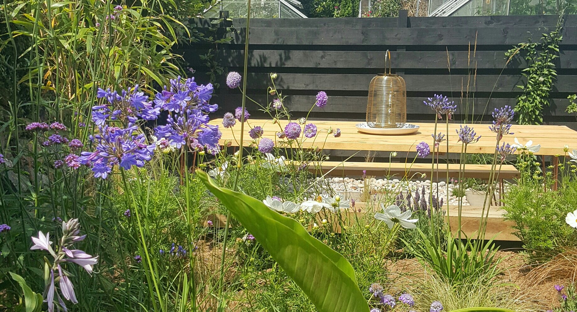 Garden Makeover | Phase One.