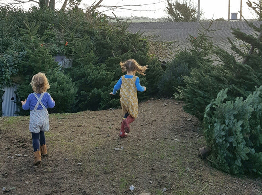 Trees and frolics.