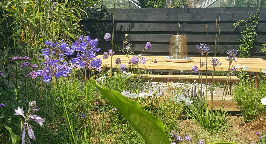 Garden Makeover | Phase One.