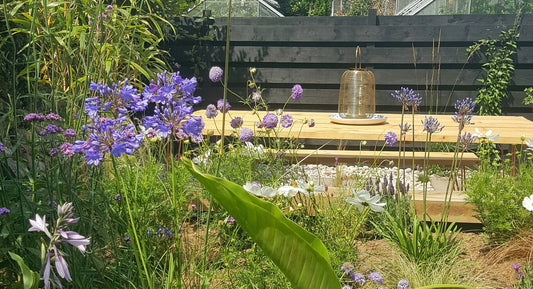 Garden Makeover | Phase One.