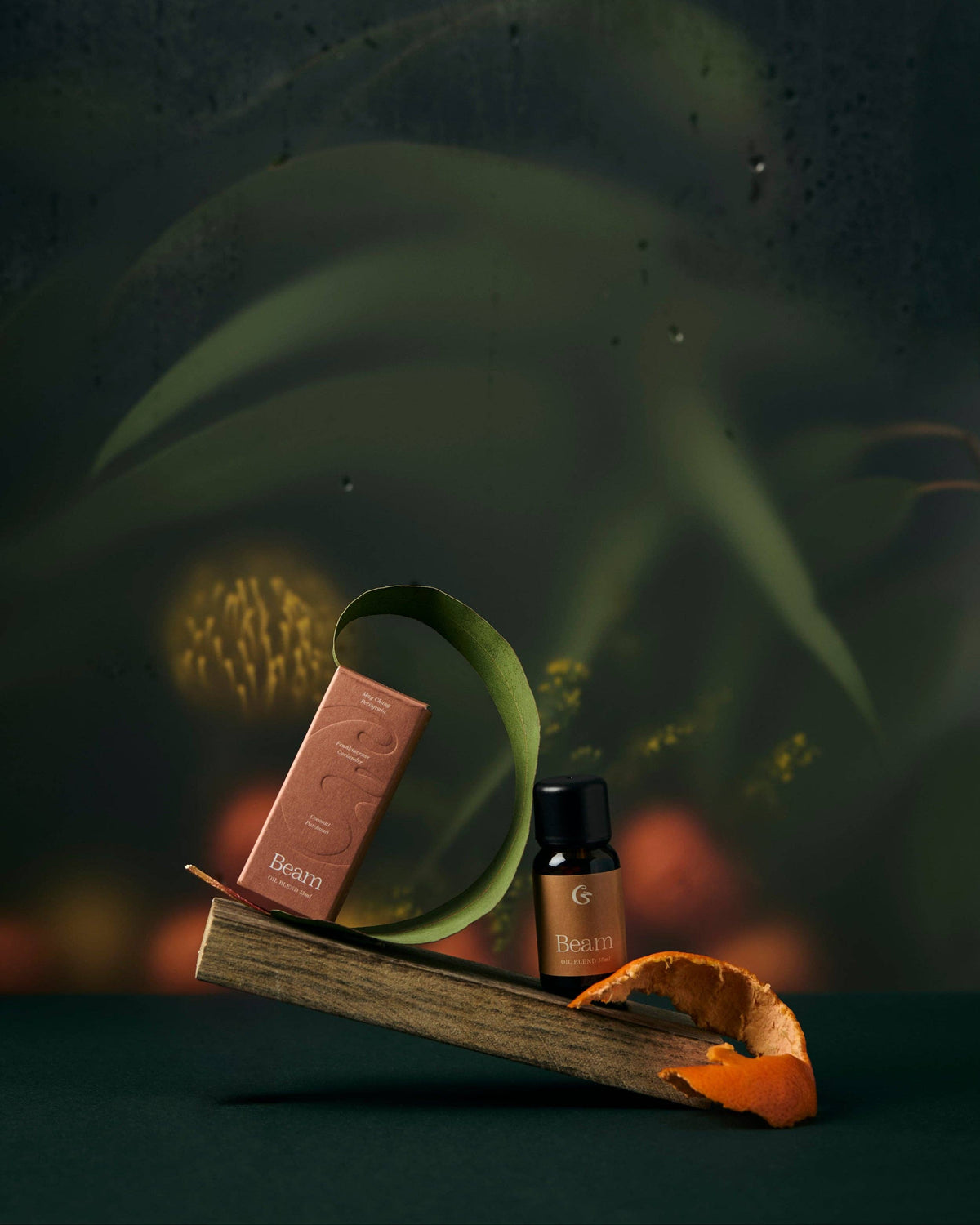 Cedar | Beam Oil Blend