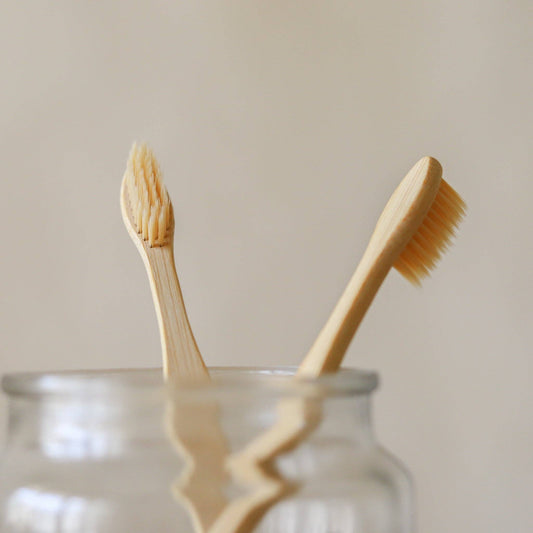 Bamboo Toothbrush | Adult