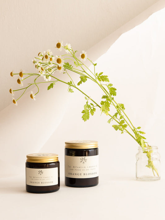 Orange Blossom | Soy Scented Candle