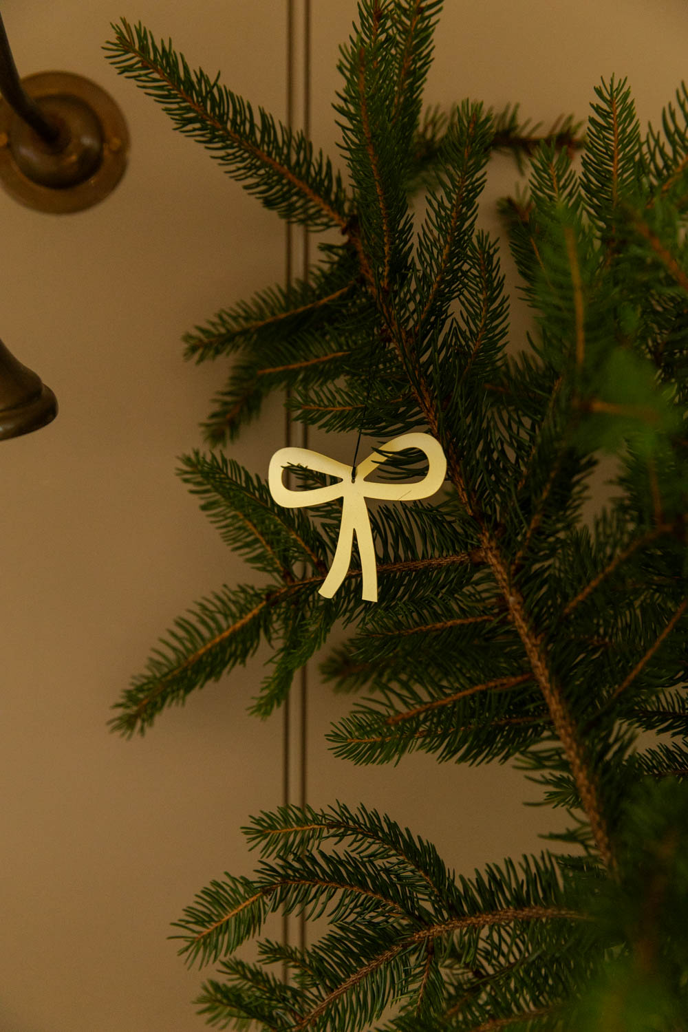 Green pine branch with a ribbon decoration against a neutral background