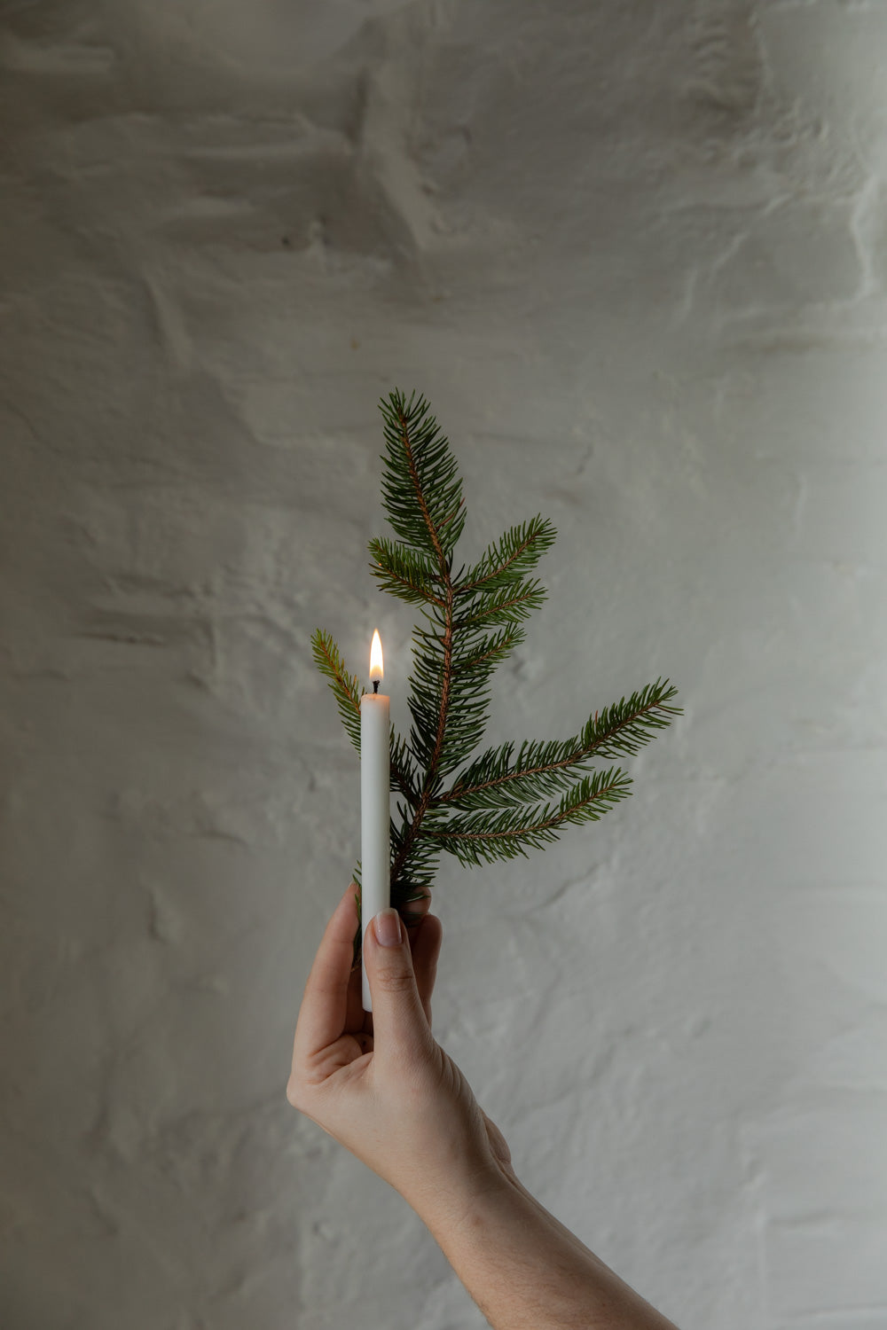 Hand holding a lit candle with a small evergreen branch against a textured white background