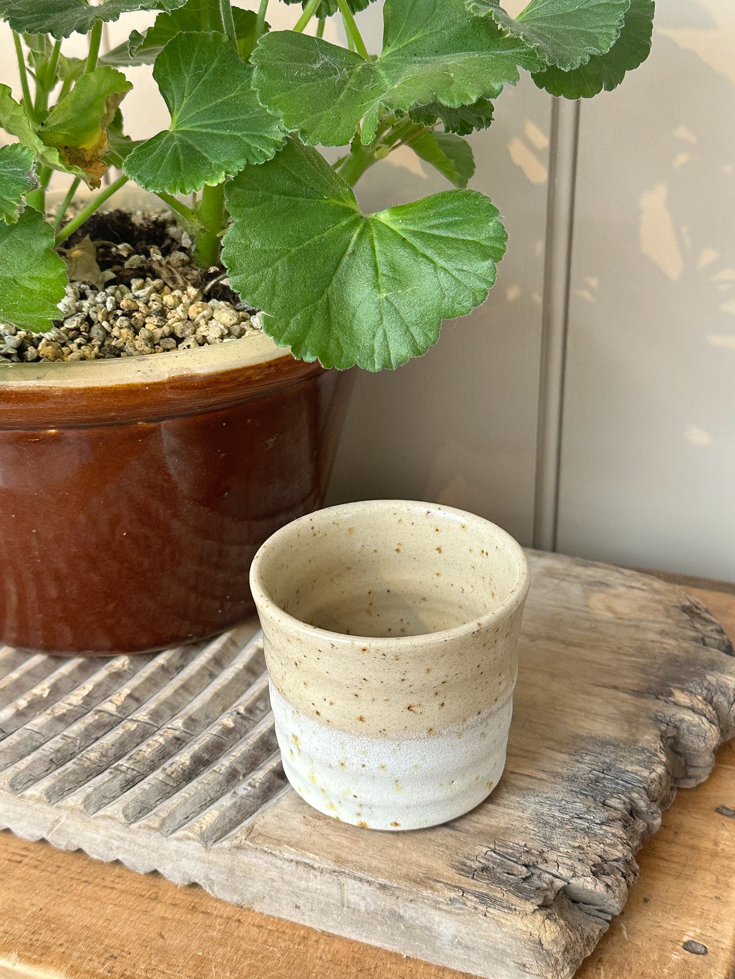 Lichen Espresso Cup