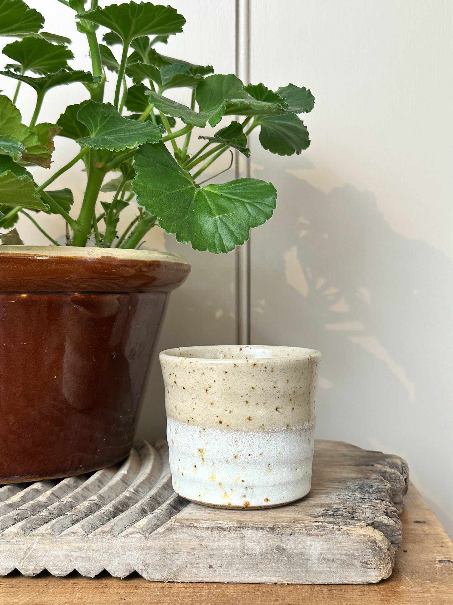 Lichen Espresso Cup