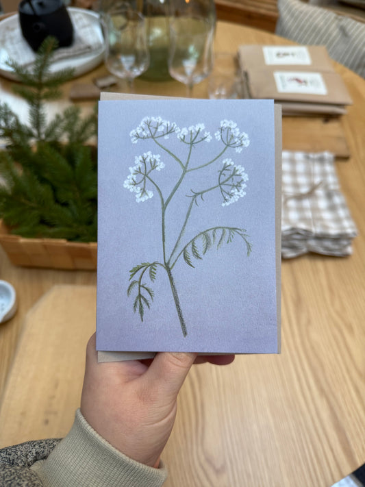 Cow Parsley Card