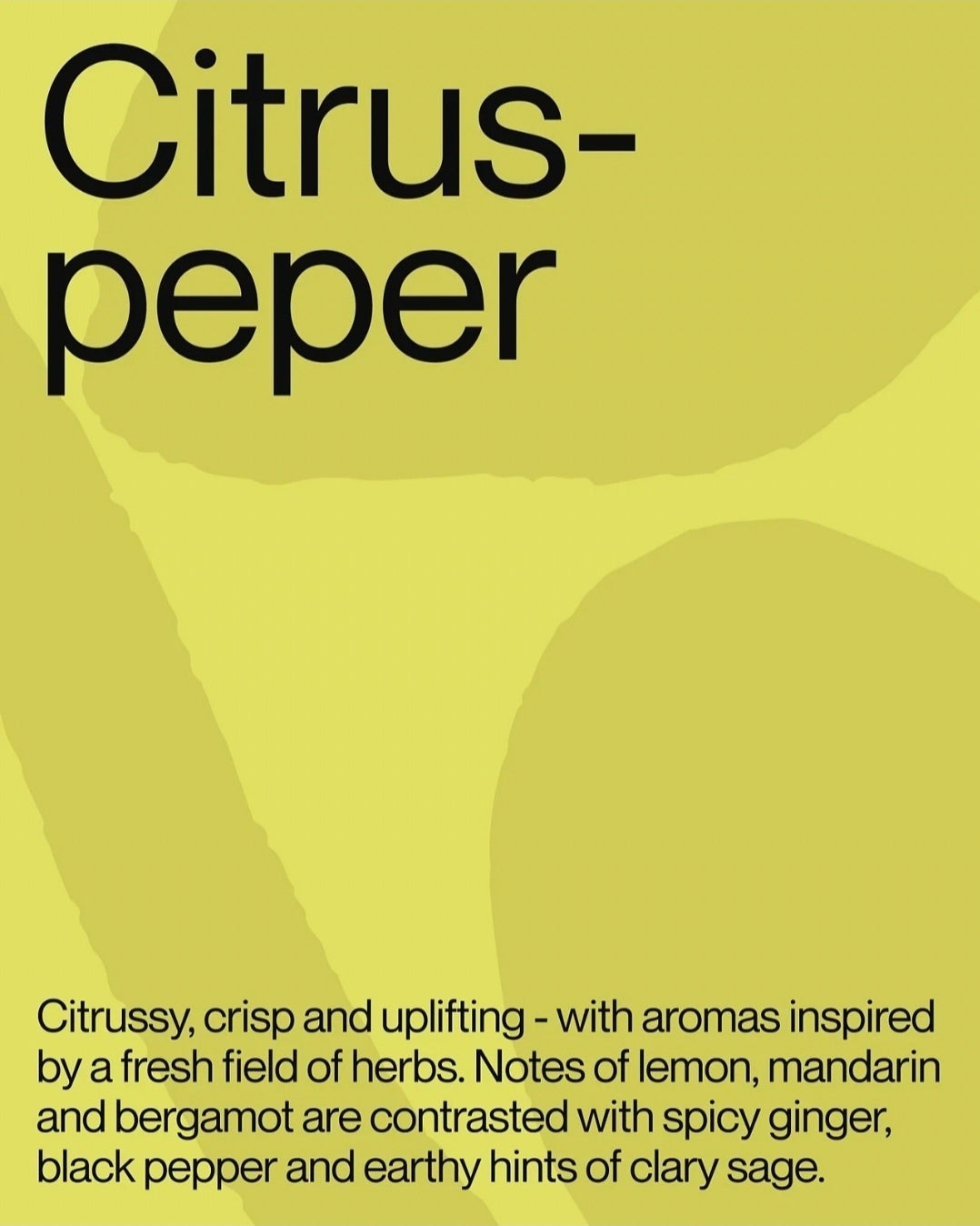 Ajen Hand Wash | Citruspeper