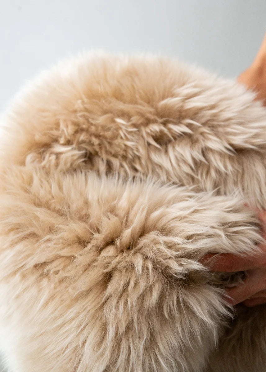 Close-up of a hand in the long, soft wool of a natural sheepskin rug