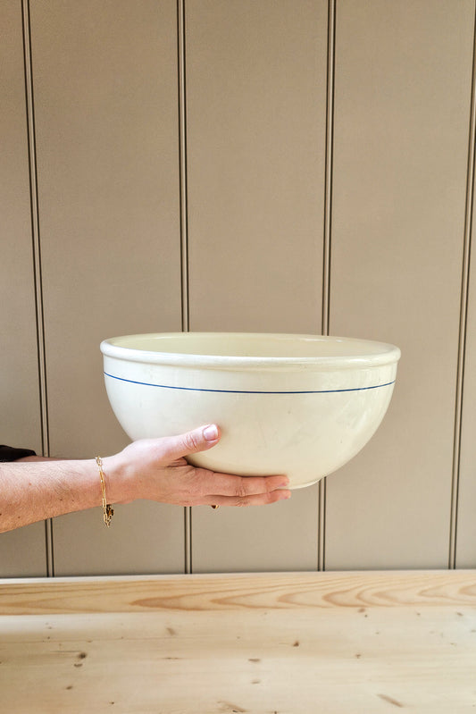 Hand holding a large ceramic bowl with a blue rim against a neutral background