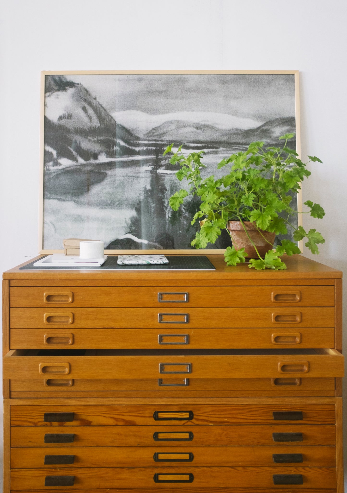 Wooden dresser with a plant and framed black and white artwork on top against a white wall.