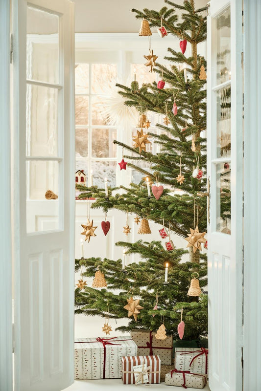 Froebel Pine Star