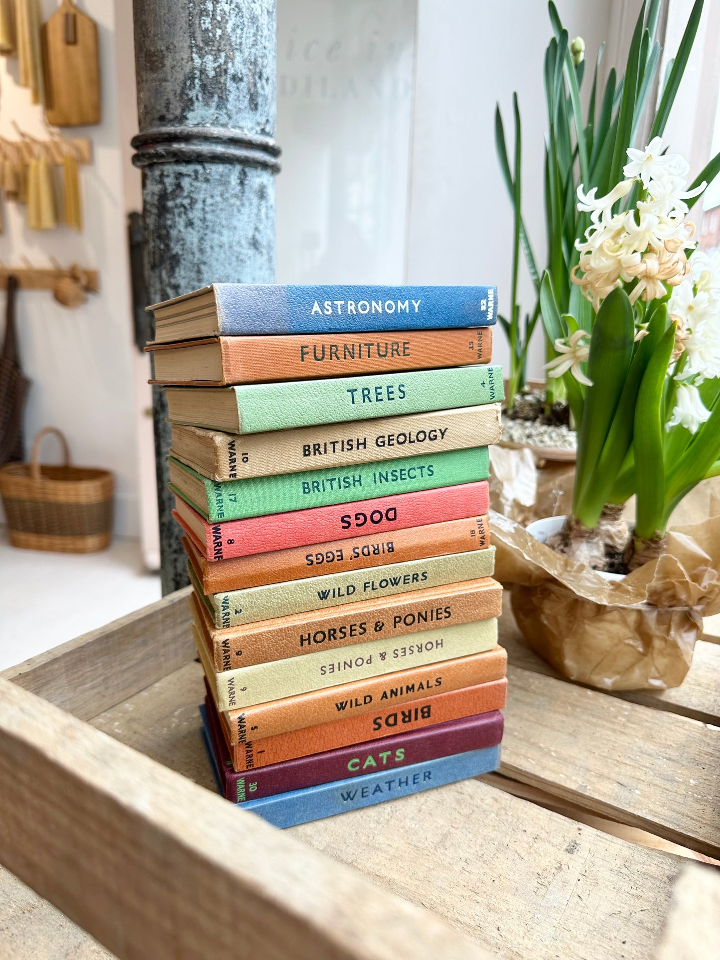 Vintage Observer Pocket Books