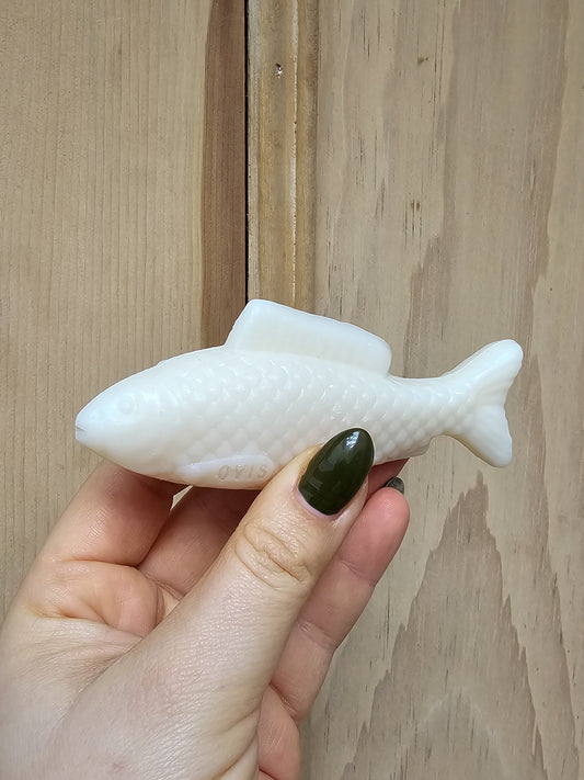 A person holding a fish-shaped bar of soap.