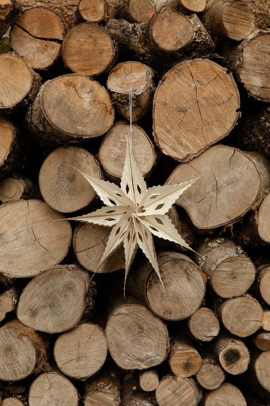 Pale paper star ornament hanging in front of a wall of cut logs