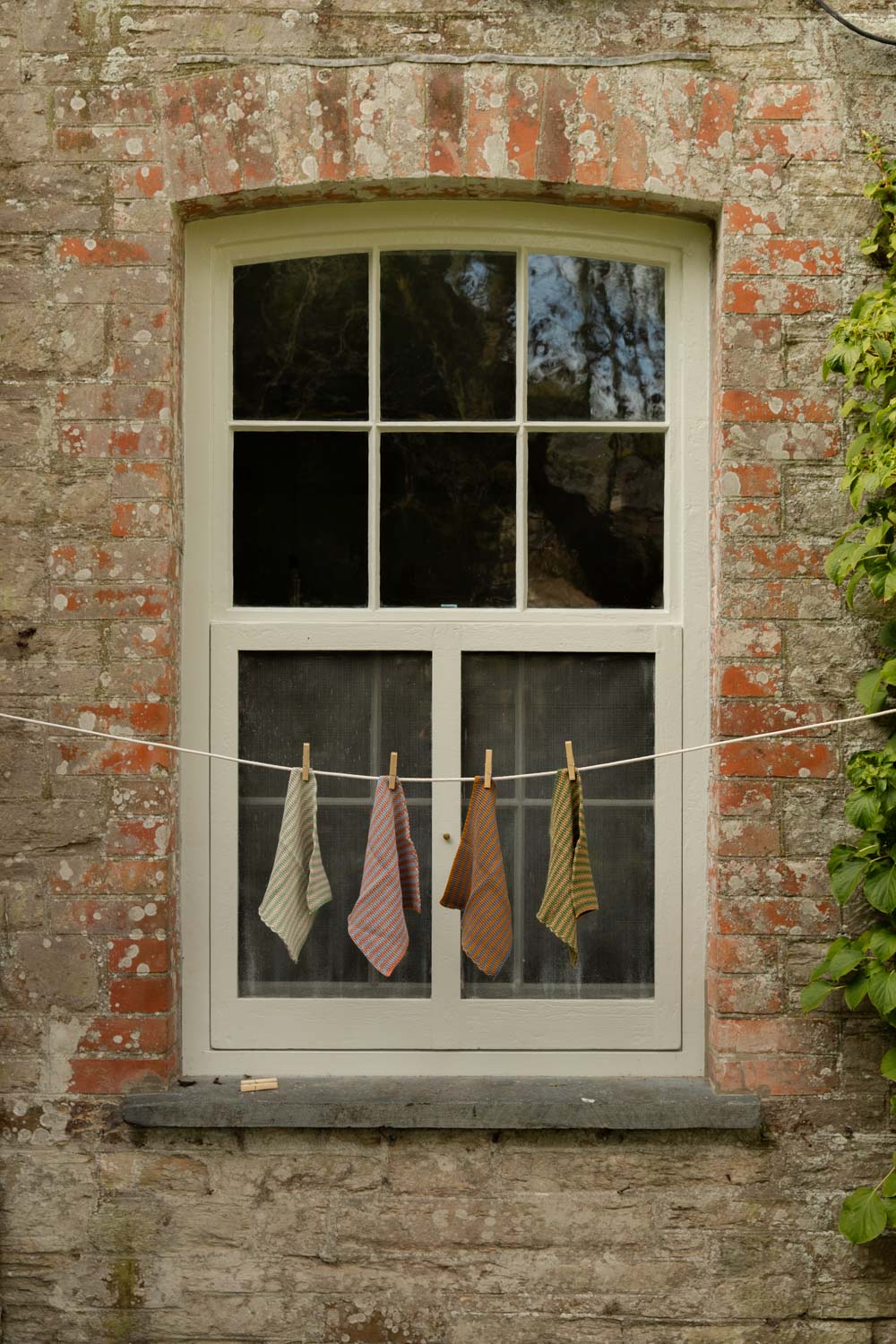Four striped and checked cotton dish cloths pegged on a line across an old sash window
