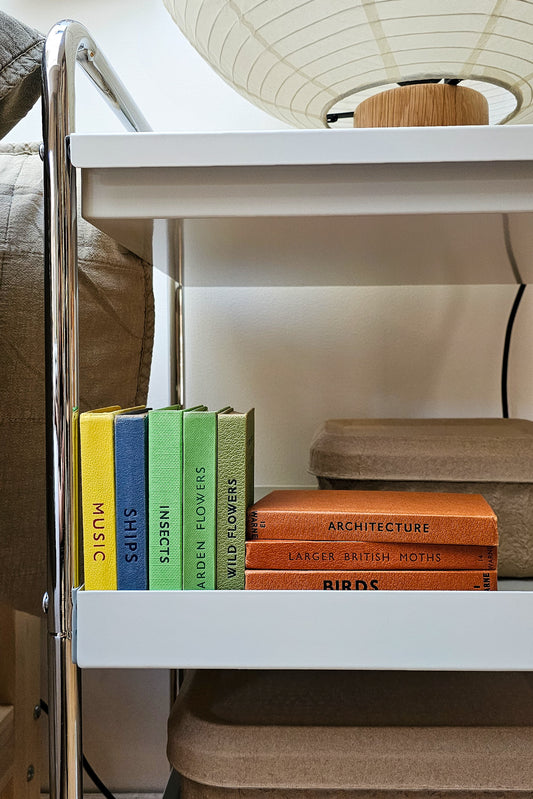 Close-up of vintage Observer books including Music, Ships, Insects, Garden Flowers, Wild Flowers, Architecture, Larger British Moths and Birds, displayed on a shelf