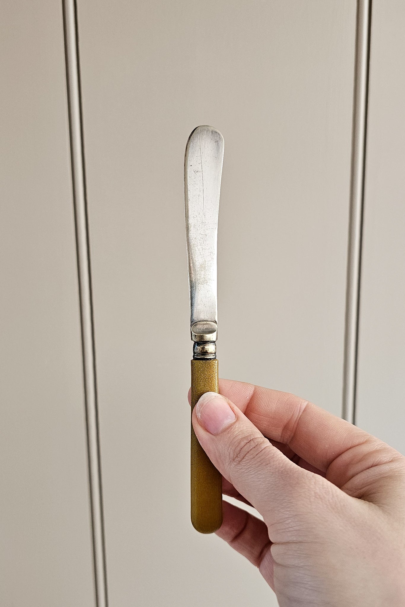 Vintage EPNS Butter Knife