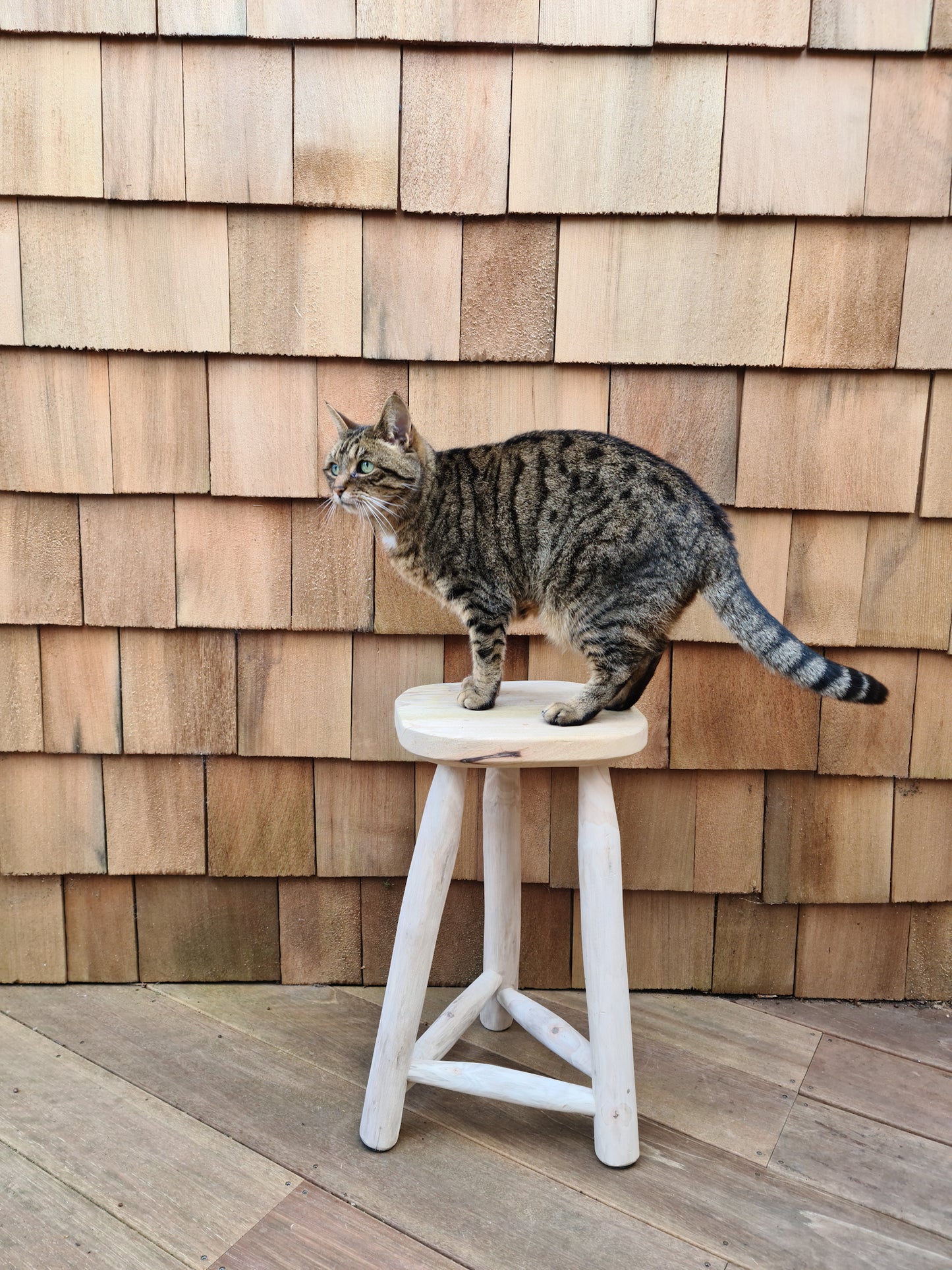 Pure Nature Stool