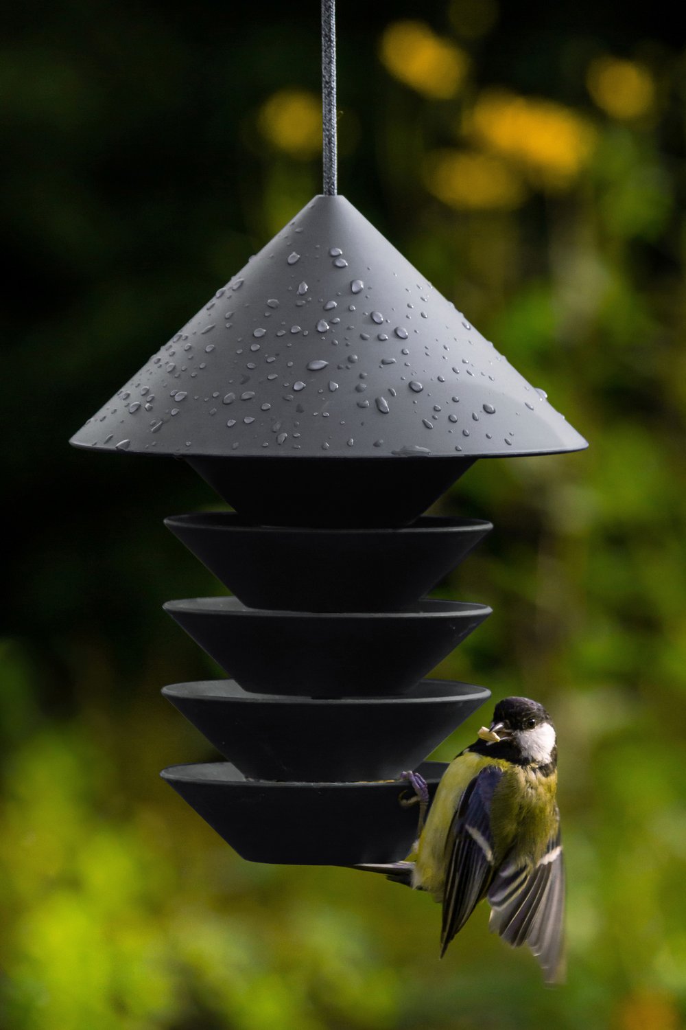 Bird Silo Feeder