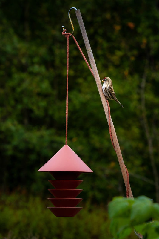 Bird Silo Feeder