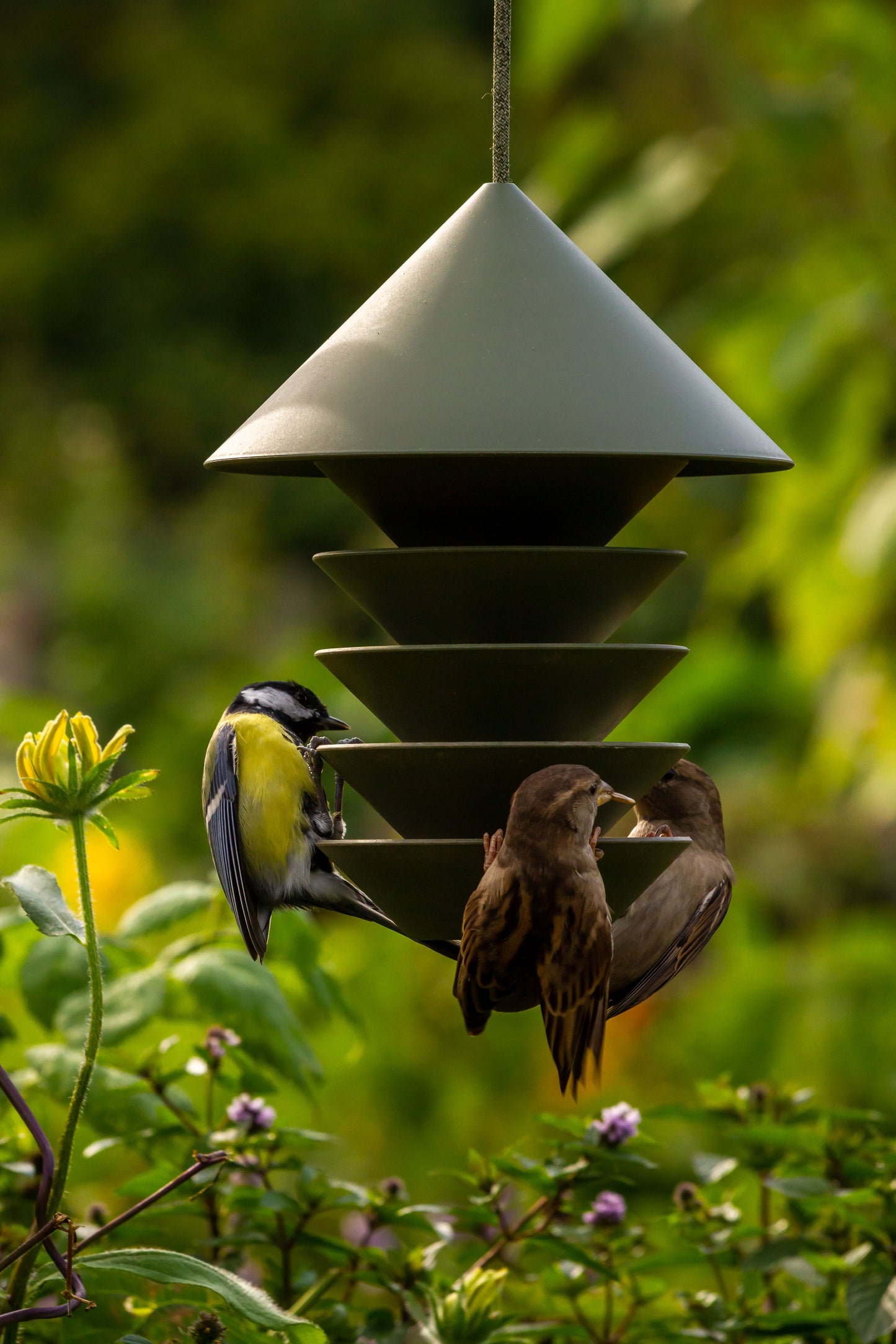 Bird Silo Feeder