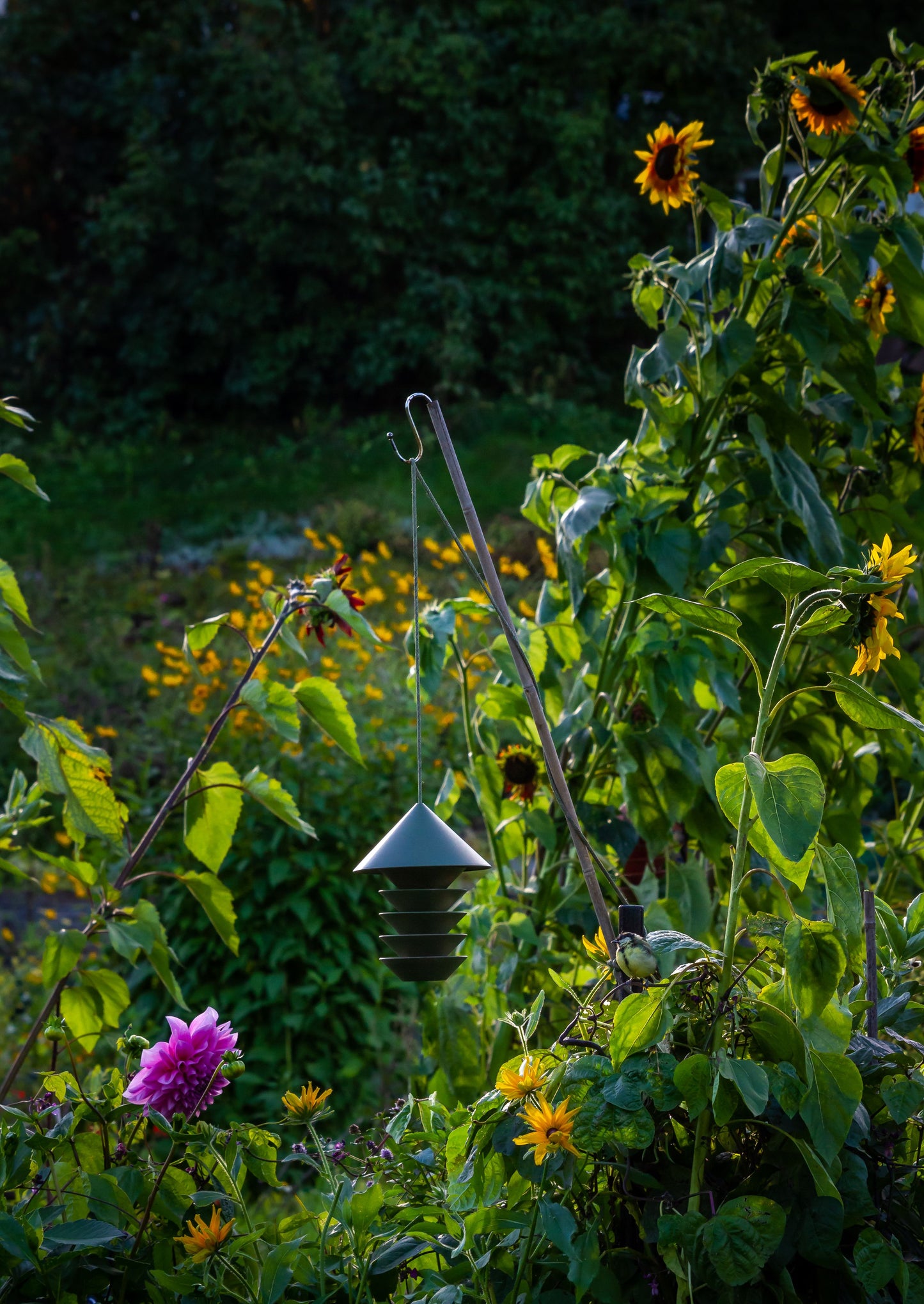 Bird Silo Feeder