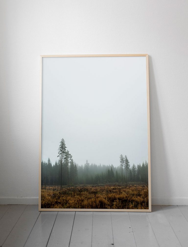 Framed photo of a Scandinavian forest, propped up against a white wall, sitting on a painted wooden floor.