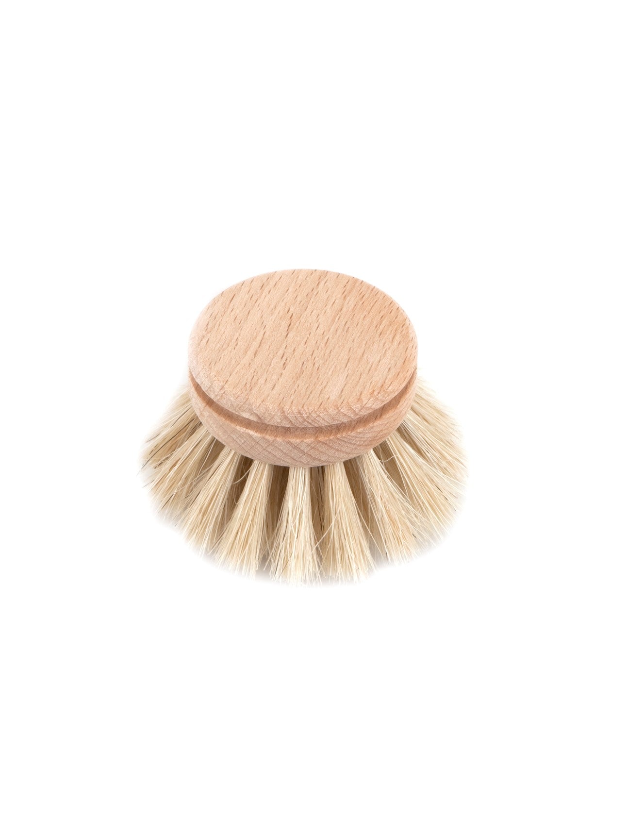 Dish brush head against a white background.