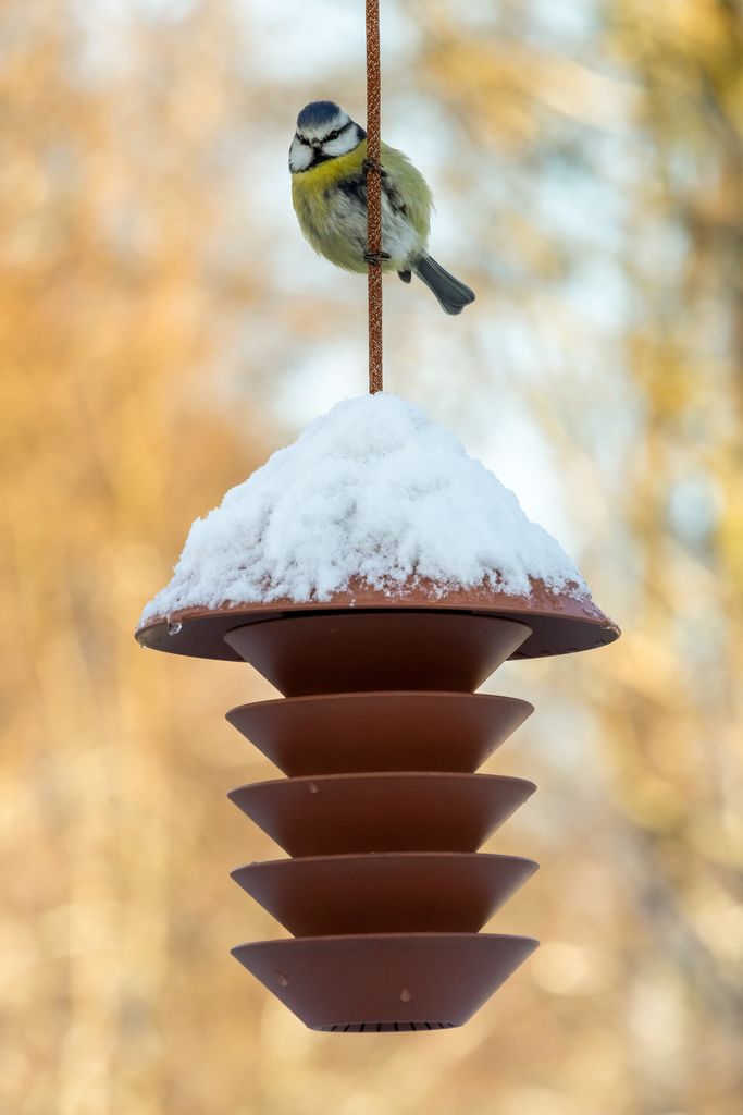 Bird Silo Feeder