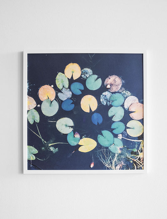 Water Lilies Poster